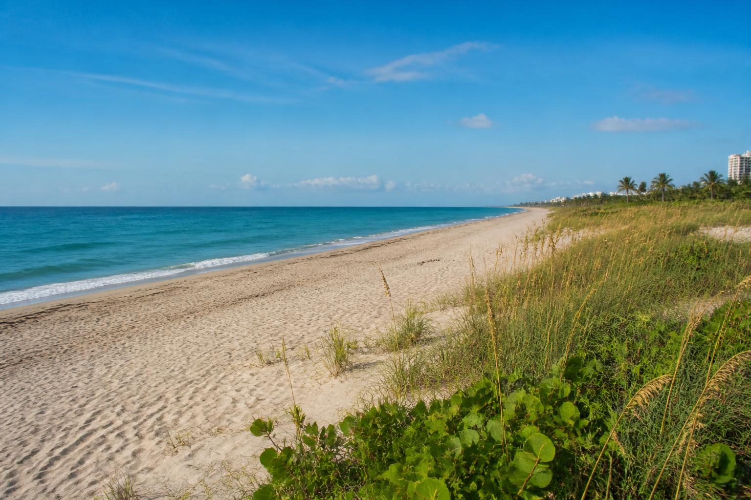 Haulover Park Beach shoreline