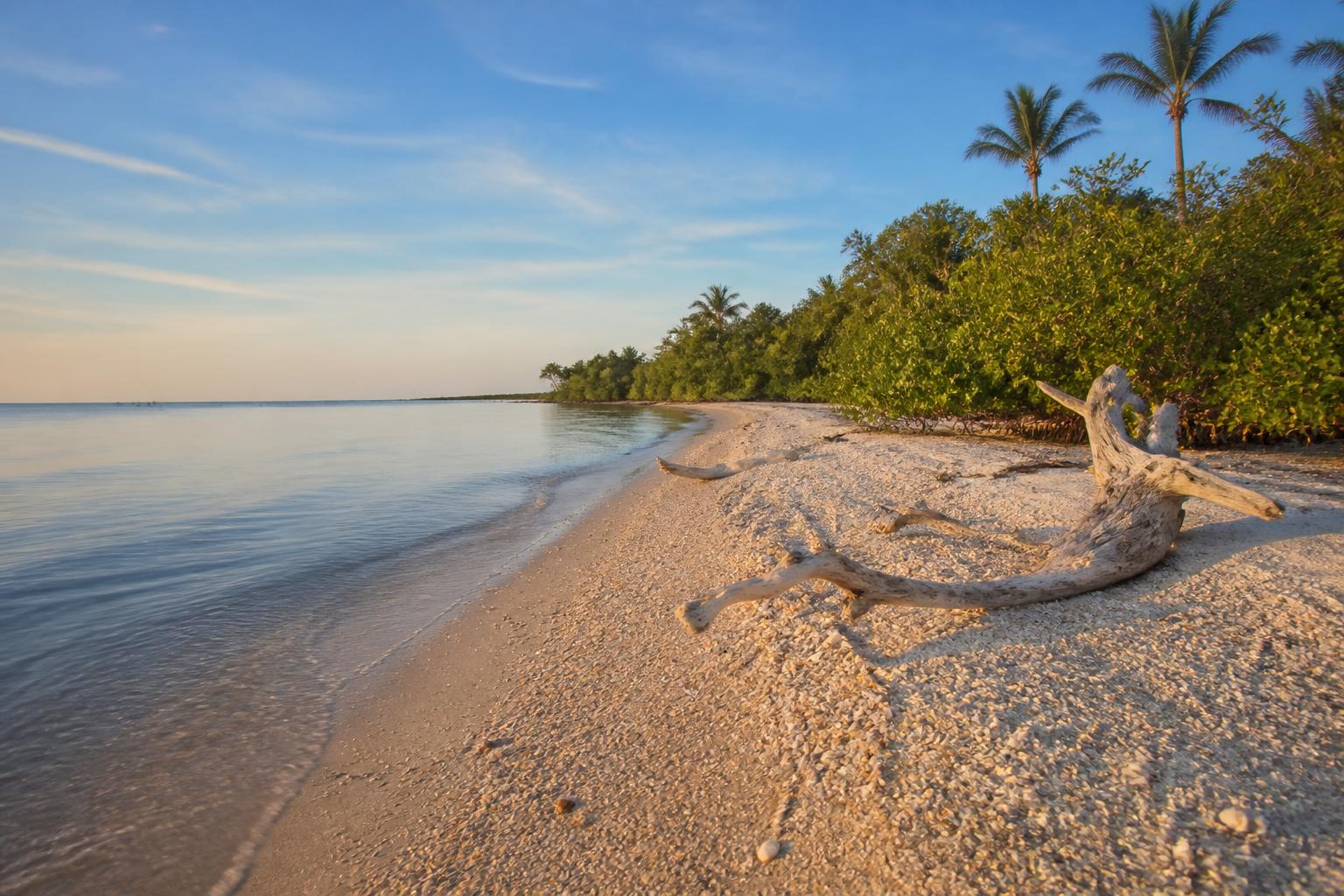 Lovers Key State Park shoreline