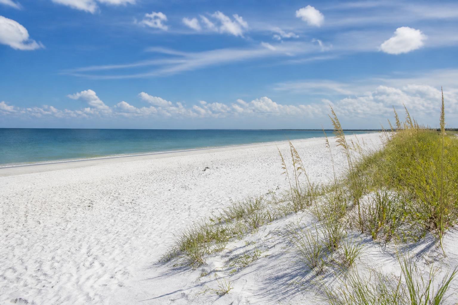 Sand Key Park shoreline