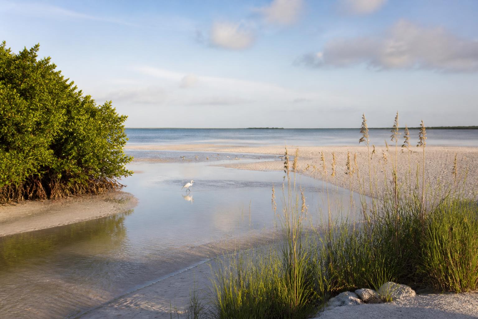 Tigertail Beach shoreline