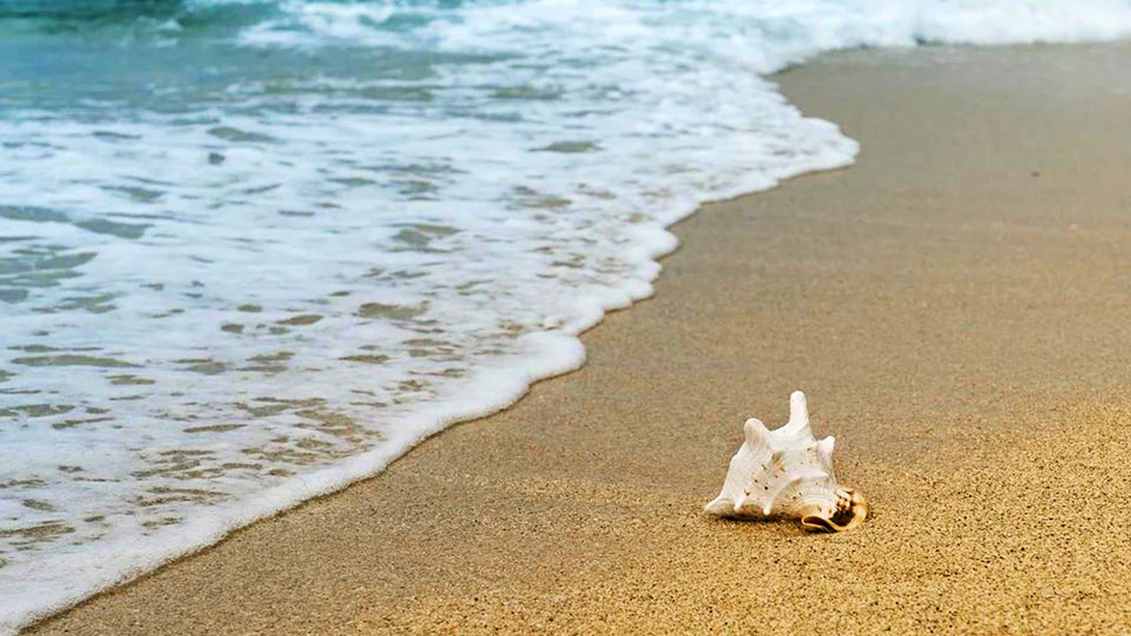 Amelia Island State Park shoreline