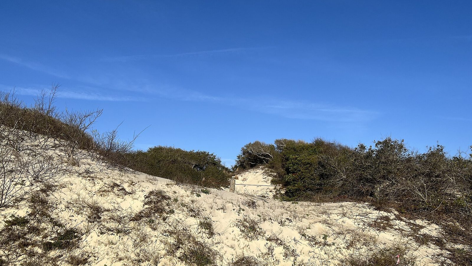American Beach shoreline