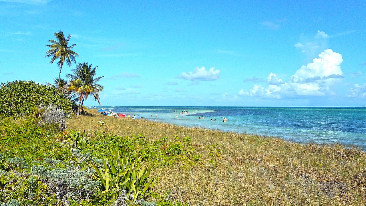Bahia Honda State Park shoreline