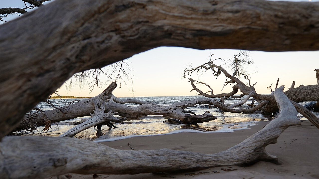Big Talbot Island Boneyard Beach shoreline