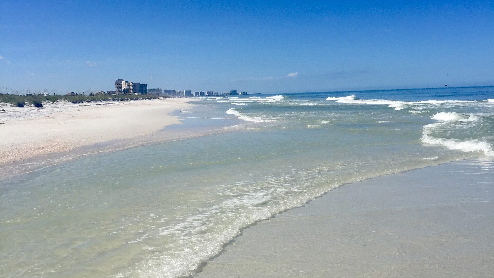 Caladesi Island State Park shoreline