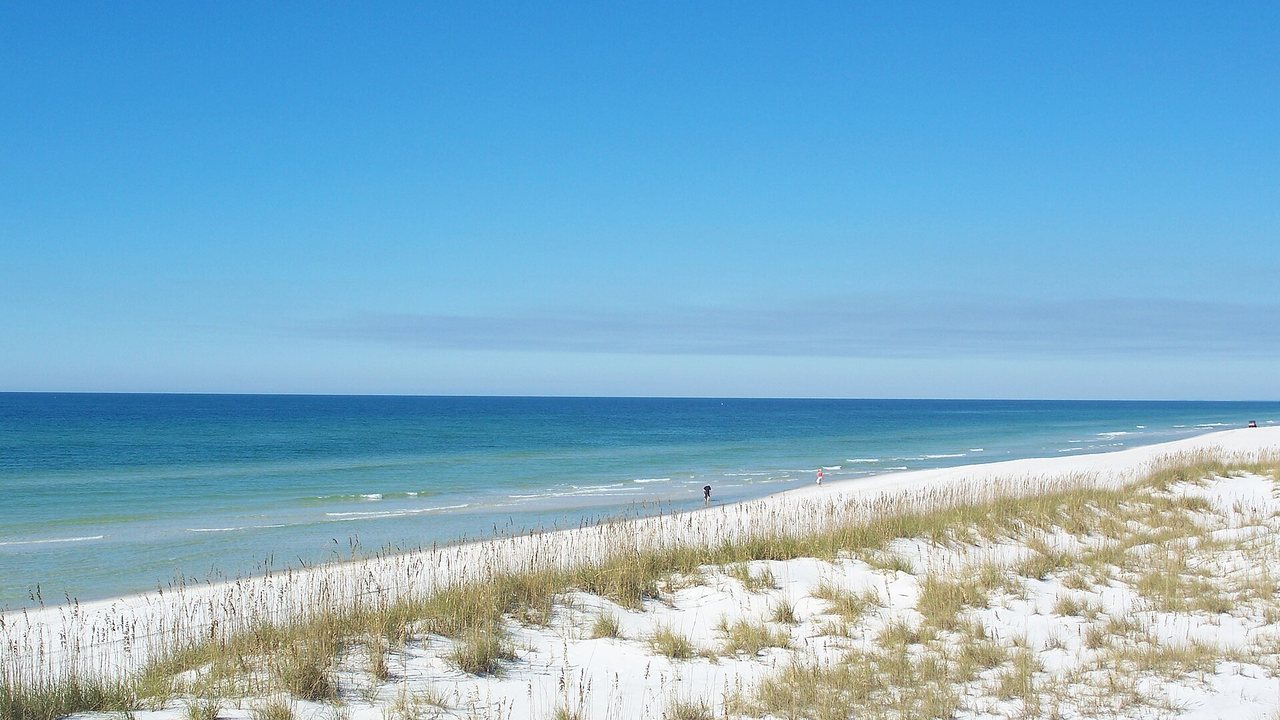 Cape San Blas shoreline