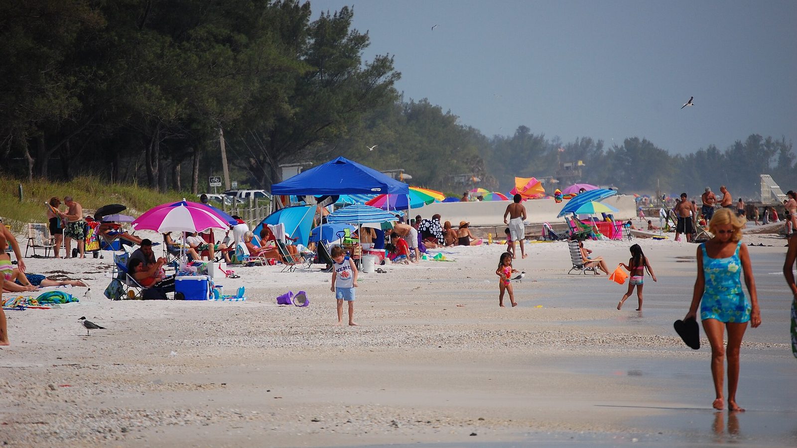 Coquina Beach shoreline