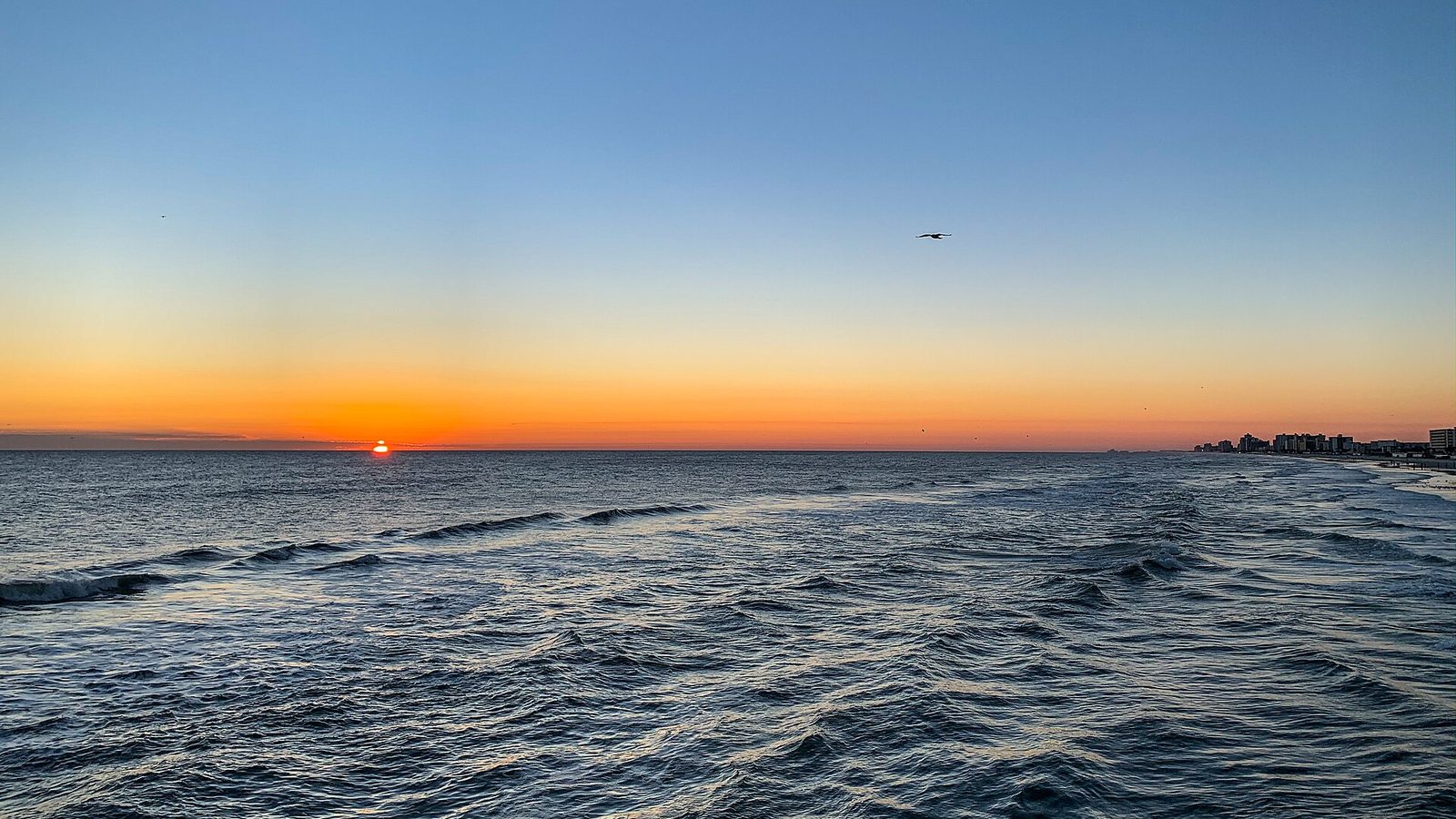 Daytona Beach shoreline