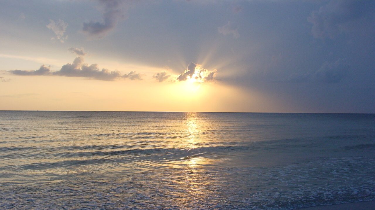 Fort De Soto North Beach shoreline