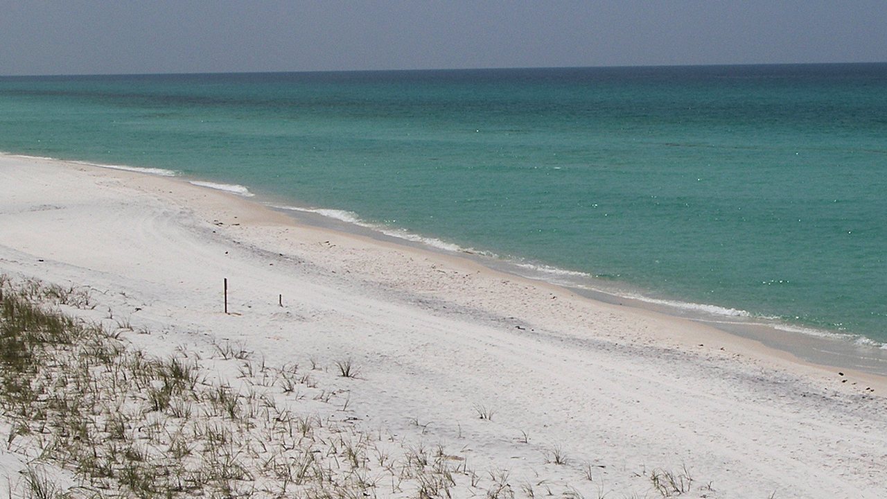 Grayton Beach State Park shoreline