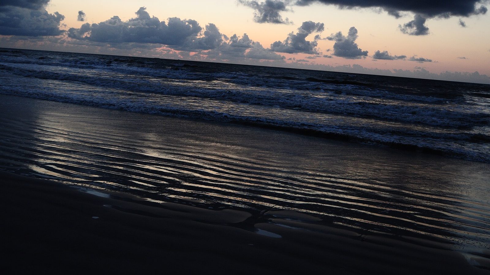 Lori Wilson Park shoreline