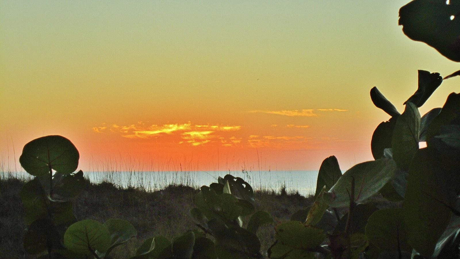 Madeira Beach shoreline