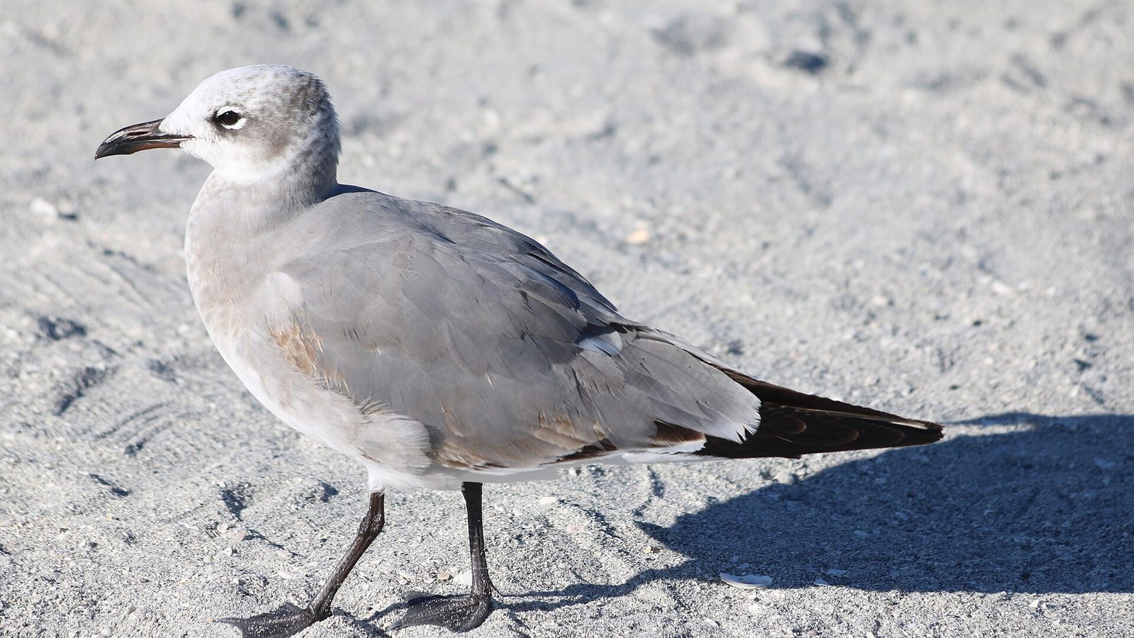 North Jetty Park shoreline
