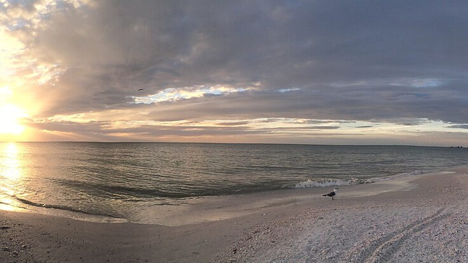Pass-a-Grille Beach shoreline