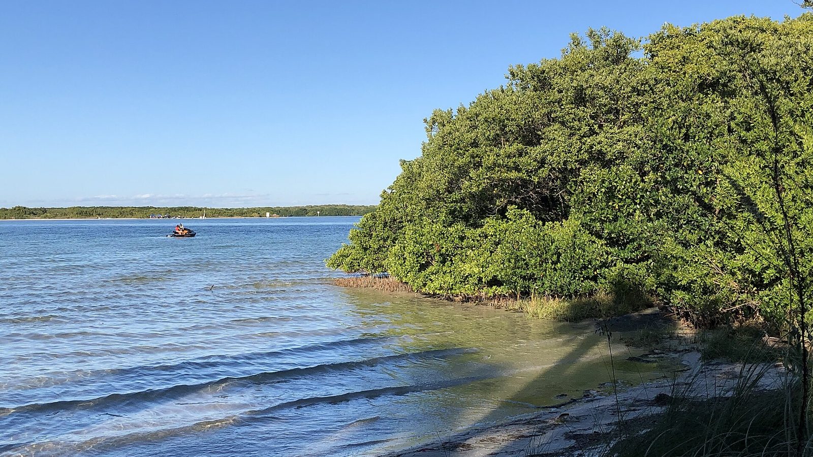 Shell Key Preserve shoreline