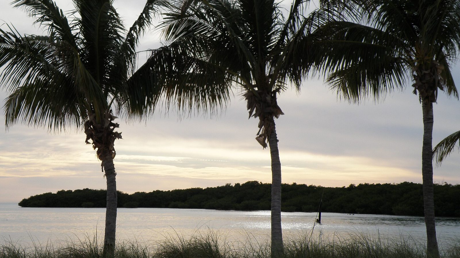 Sombrero Beach shoreline