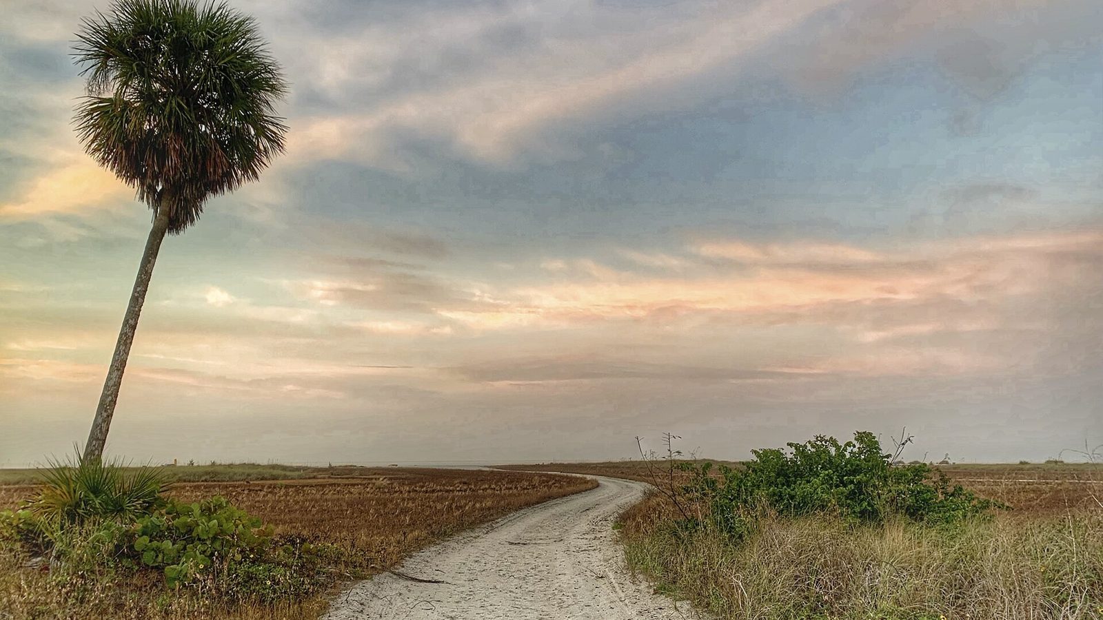 Treasure Island Beach shoreline